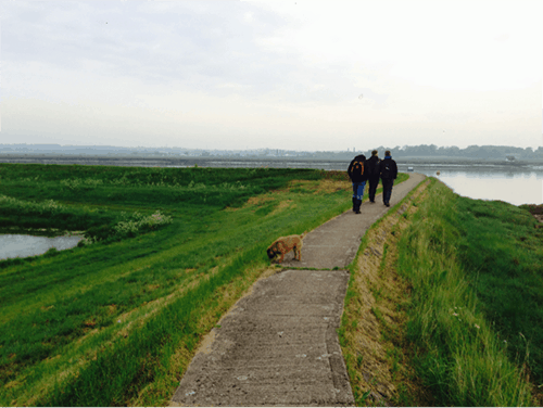 tried-tested-walking-hiking-boots-footpath-countryside-england-essex-estuary-solopress-team-members-dog-pleasent