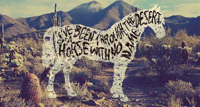 Final Picture Horse