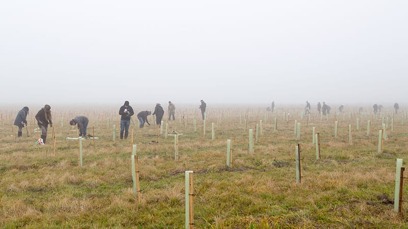 solopress mucks in for woodland carbon trust