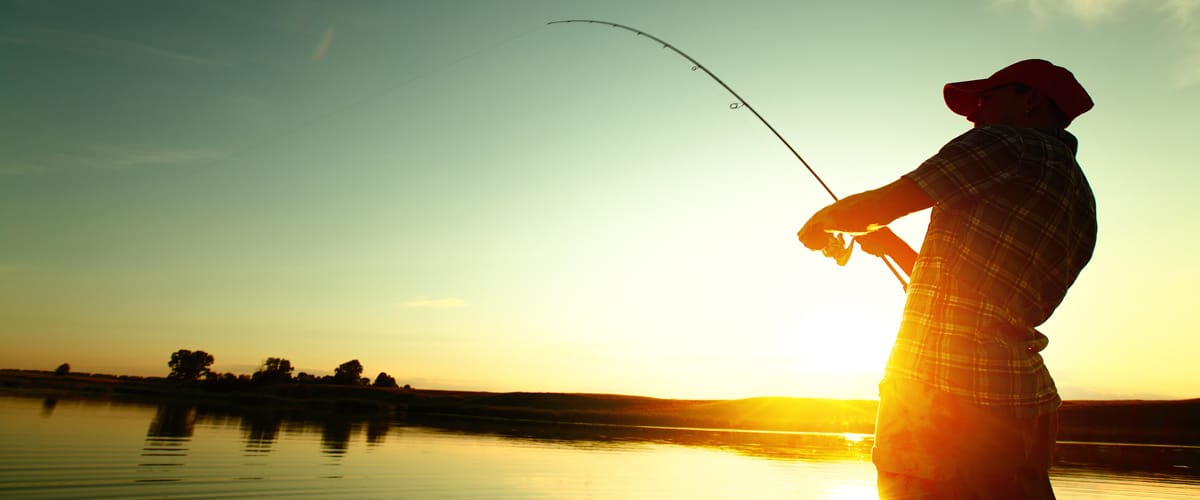 Customer Stories - Teach A Brand To Fish
